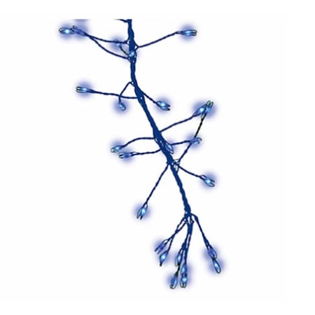 Holiday Bright Lights 266726 Christmas Micro Cluster Big Seed 216 LED Light Set; Blue